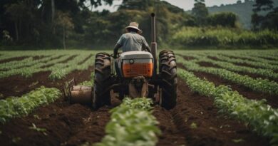 Renacimiento agrario: Restitución de tierras