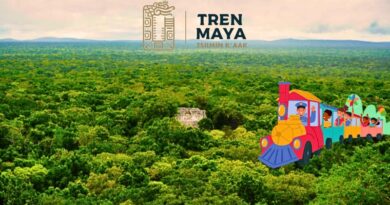 Estaciones repletas y alta demanda confirman el atractivo del Tren Maya como nuevo eje turístico y de movilidad en el sureste mexicano durante el asueto