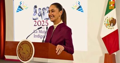 Entre aplausos y “Las Mañanitas”, la mandataria recibió una emotiva felicitación en Palacio Nacional por parte de ciudadanos y miembros del gabinete