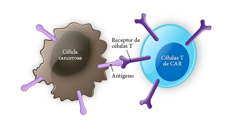México se posiciona a la vanguardia de la medicina de precisión con la implementación de terapias celulares CAR-T, ofreciendo una nueva esperanza a pacientes oncológicos.