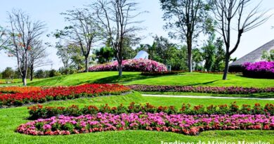 La nueva cartelera de eventos, respaldada por la Secretaría de Turismo de Morelos, promete impulsar el desarrollo sostenible y la economía local con espectáculos de talla internacional.