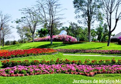 La nueva cartelera de eventos, respaldada por la Secretaría de Turismo de Morelos, promete impulsar el desarrollo sostenible y la economía local con espectáculos de talla internacional.