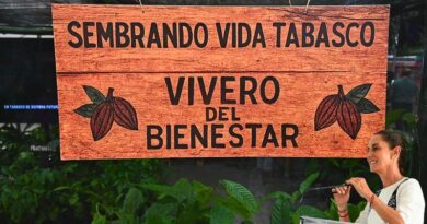 Sheinbaum anuncia en Tabasco una planta procesadora que fortalecerá la economía local, protegerá al productor y promoverá la Ruta del Chocolate.