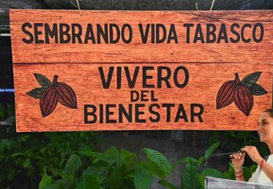 Sheinbaum anuncia en Tabasco una planta procesadora que fortalecerá la economía local, protegerá al productor y promoverá la Ruta del Chocolate.