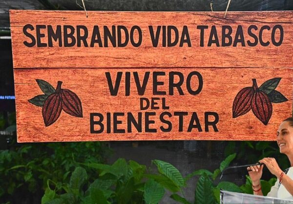 Sheinbaum anuncia en Tabasco una planta procesadora que fortalecerá la economía local, protegerá al productor y promoverá la Ruta del Chocolate.
