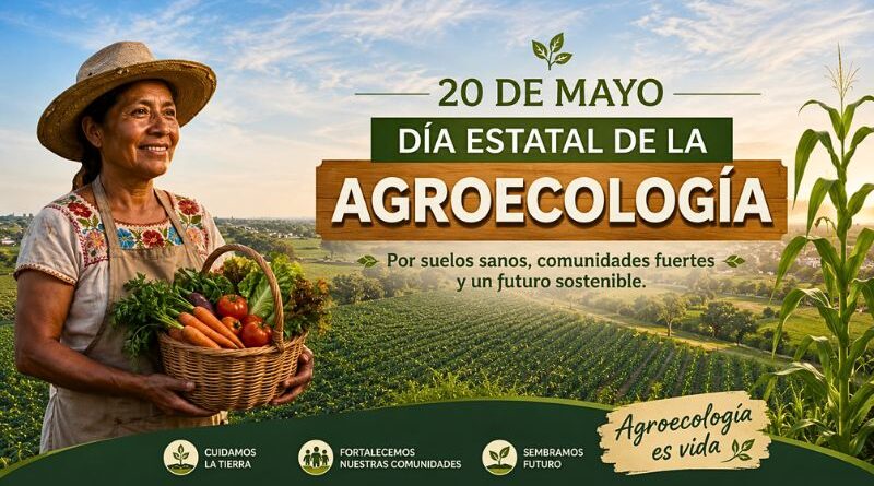 Margarita González Saravia impulsa el cambio: “Trabajamos de la mano con productores para llevar alimentos sanos y sustentables a los hogares morelenses”.