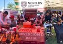 Con un despliegue de unidades móviles y personal especializado, la administración estatal busca saldar la deuda histórica con las regiones de mayor rezago.