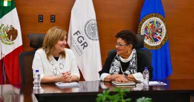 Subtítulo: Ernestina Godoy y Andrea Pochak acuerdan fortalecer la cooperación internacional para atender la crisis de desapariciones en México.