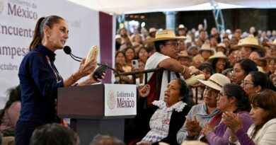 Claudia Sheinbaum impulsa “El maíz es la raíz”: apoyo campesino con maquinaria, semillas nativas y transformación comunitaria como el caso comaleras