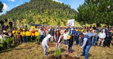 Morelos se suma a la jornada nacional con una reforestación en Huitzilac para fortalecer el Bosque de Agua, clave para la recarga hídrica regional.