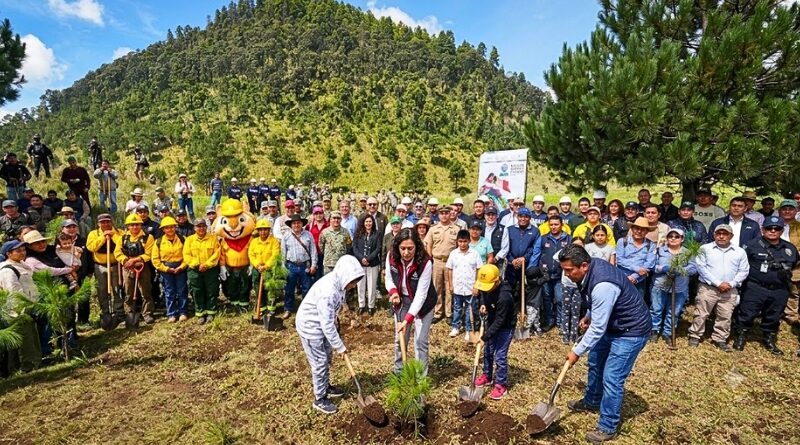 Morelos se suma a la jornada nacional con una reforestación en Huitzilac para fortalecer el Bosque de Agua, clave para la recarga hídrica regional.