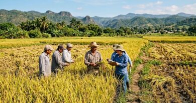 Sedagro fortalece la coordinación entre INIFAP, productores y municipios para mejorar la productividad y sostenibilidad del cultivo arrocero