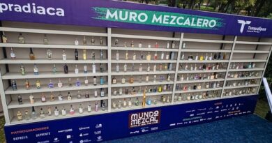 El destilado Xonesco, producido en Palpan, Miacatlán, obtiene una medalla de oro y destaca la tradición mezcalera de Morelos, con respaldo para su certificación y comercialización.