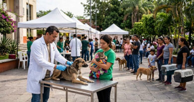 Con el Registro Único de Mascotas, el Gobierno estatal realizó una jornada gratuita para frenar la sobrepoblación y el abandono de animales de compañía.